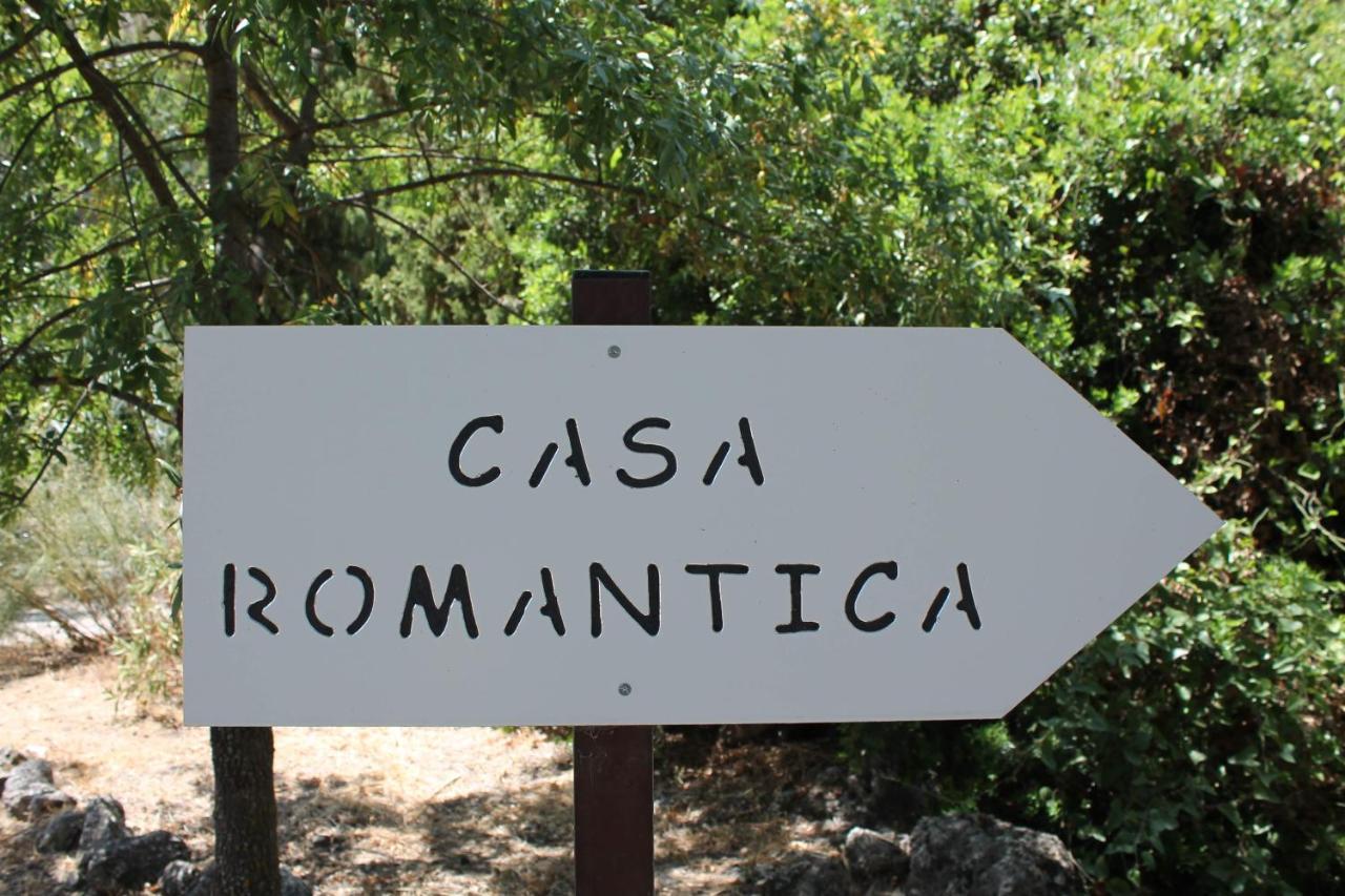 Casas Rurales Los Algarrobales Ел Гастор Екстериор снимка