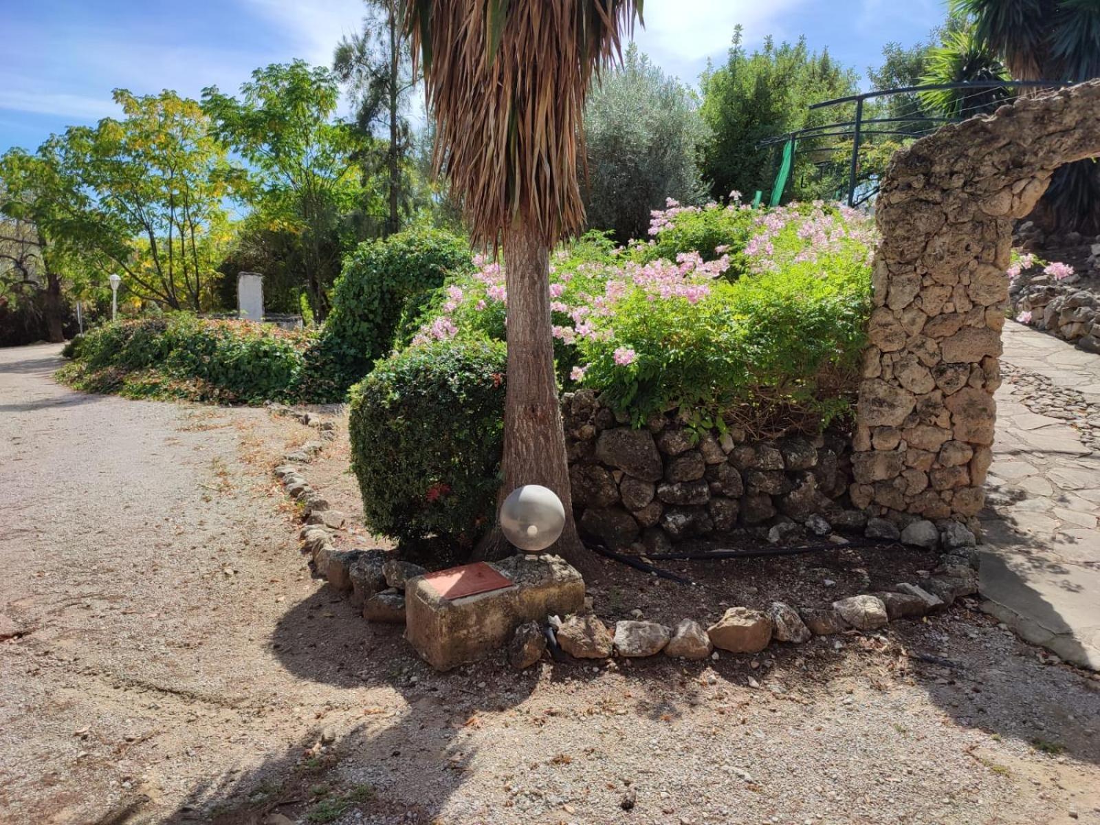 Casas Rurales Los Algarrobales Ел Гастор Екстериор снимка