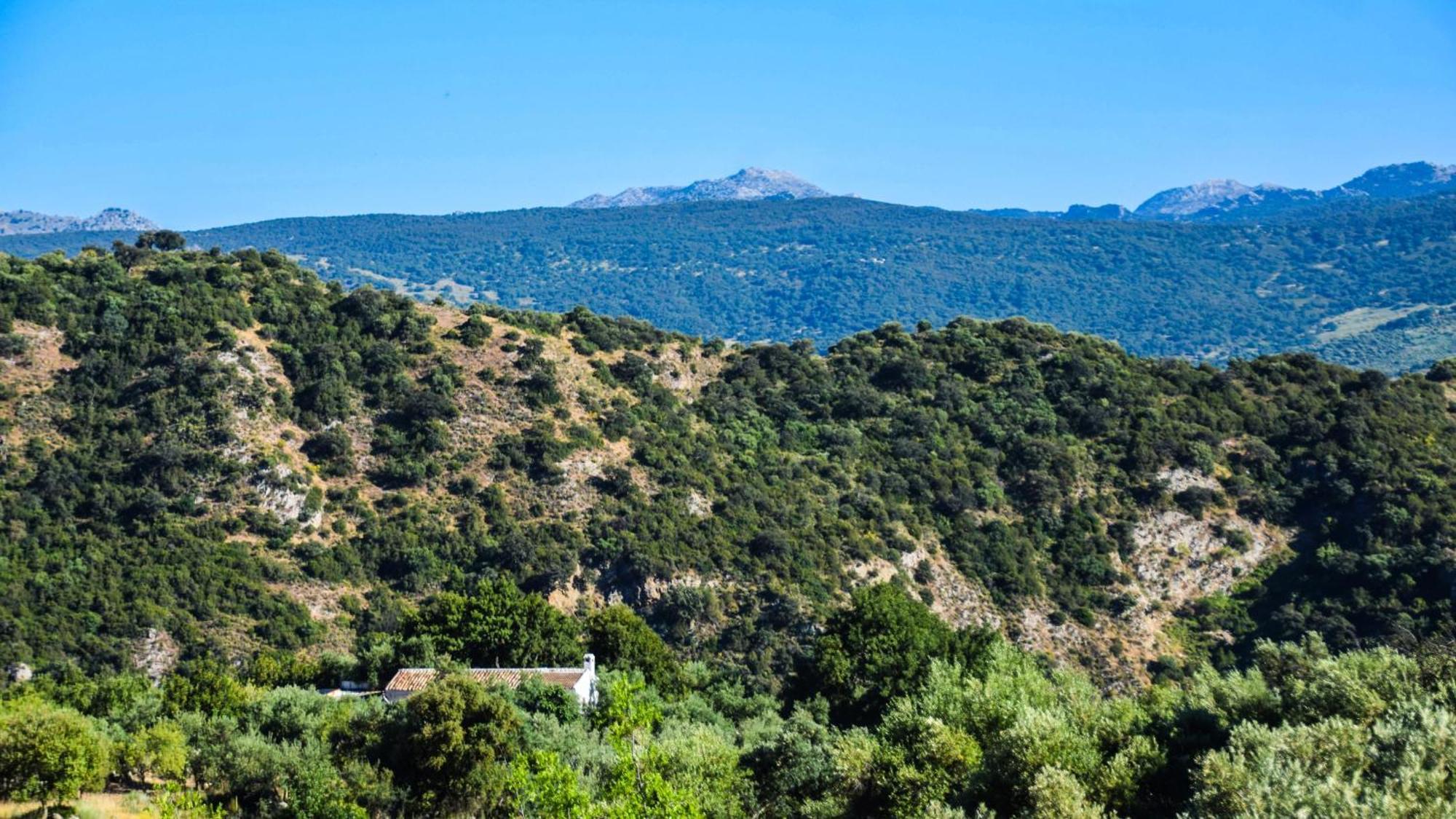Casas Rurales Los Algarrobales Ел Гастор Екстериор снимка