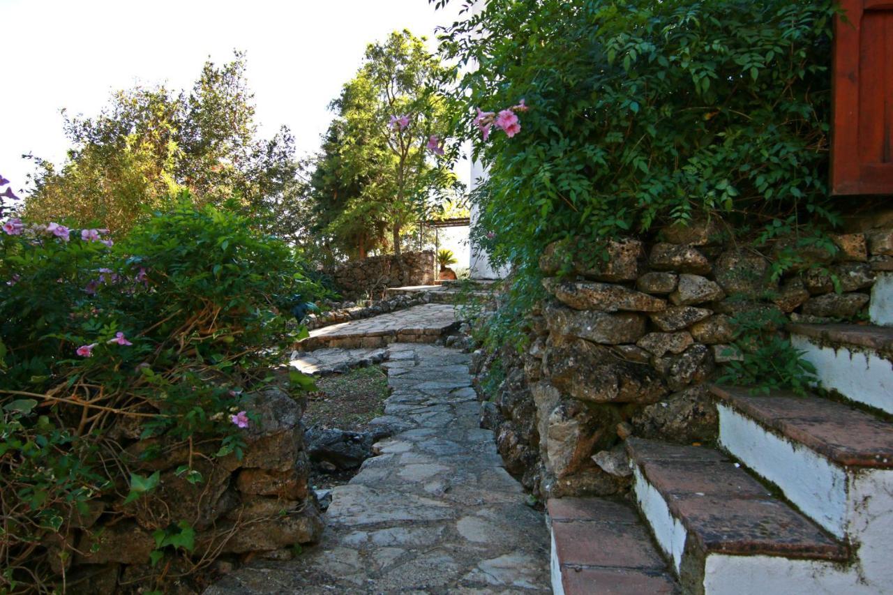 Casas Rurales Los Algarrobales Ел Гастор Екстериор снимка