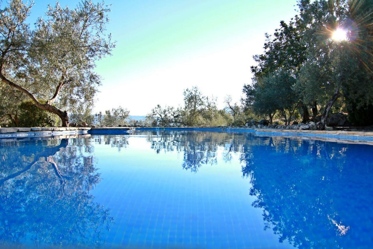 Casas Rurales Los Algarrobales Ел Гастор Екстериор снимка