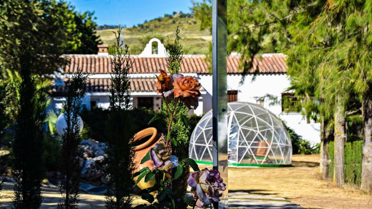 Casas Rurales Los Algarrobales Ел Гастор Екстериор снимка