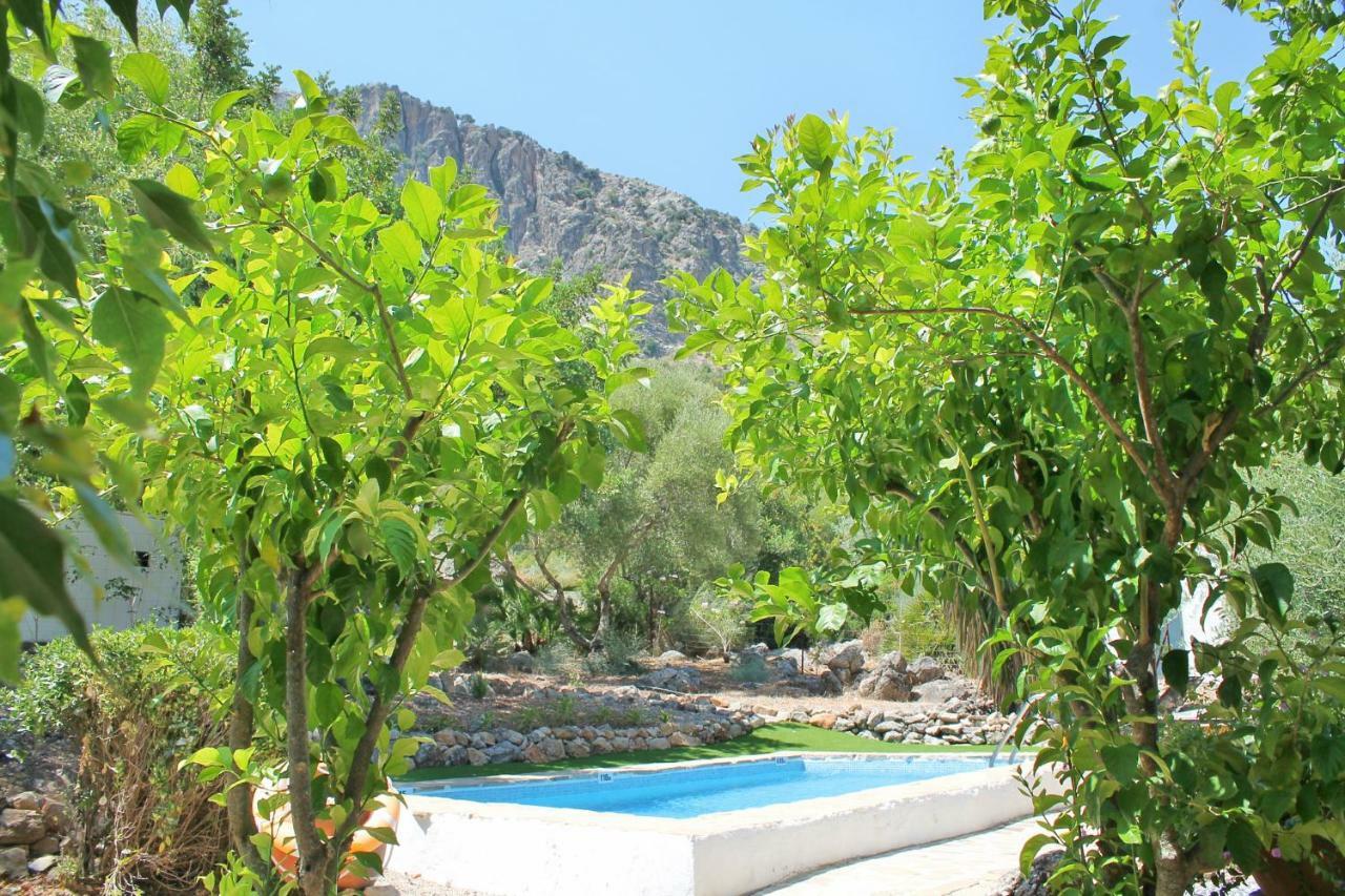 Casas Rurales Los Algarrobales Ел Гастор Екстериор снимка