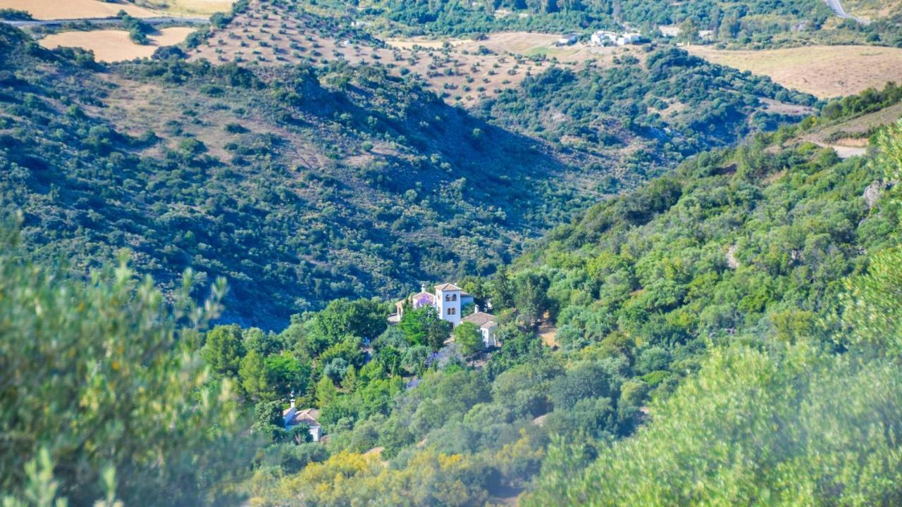 Casas Rurales Los Algarrobales Ел Гастор Екстериор снимка