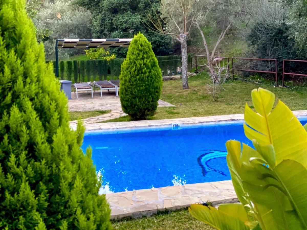 Casas Rurales Los Algarrobales Ел Гастор Екстериор снимка